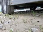 2025 Valley Livestock Trailer