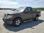 2009 Ford F150