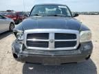2007 Dodge Dakota SLT