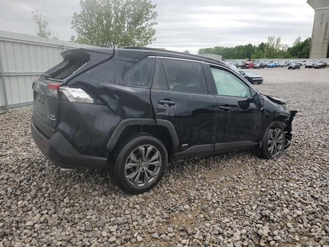 2024 Toyota Rav4 XLE Premium