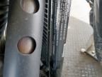 2019 Harley-Davidson Fxbb