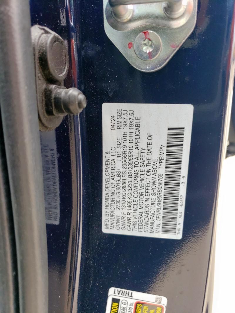 2024 Honda Odyssey Elite