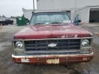 1979 Chevrolet Pickup