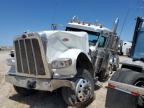 2023 Peterbilt 389 Semi Truck