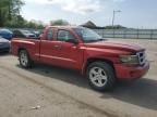 2008 Dodge Dakota SXT