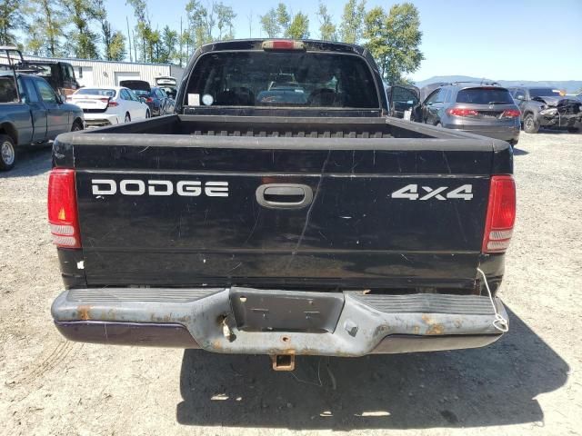 2001 Dodge Dakota Quattro