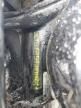 2007 John Deere Spyd