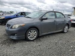 Salvage cars for sale from Copart Eugene, OR: 2009 Toyota Corolla Base
