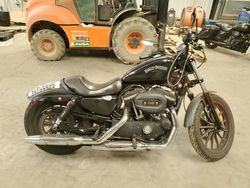 Salvage motorcycles for sale at Sacramento, CA auction: 2015 Harley-Davidson XL883 Iron 883