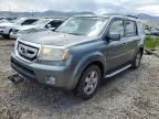 2009 Honda Pilot EXL