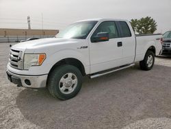 Salvage trucks for sale at Anthony, TX auction: 2010 Ford F150 Super Cab