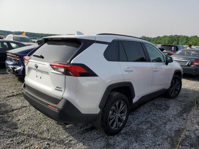 2024 Toyota Rav4 XLE Premium