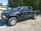 2001 Dodge Dakota Quattro