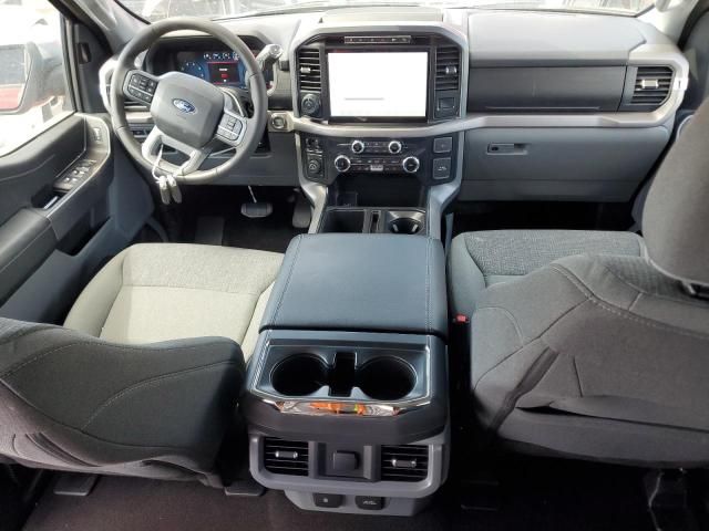 2024 Ford F150 XLT