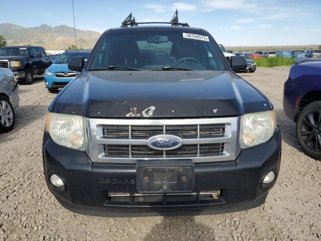 2009 Ford Escape XLT