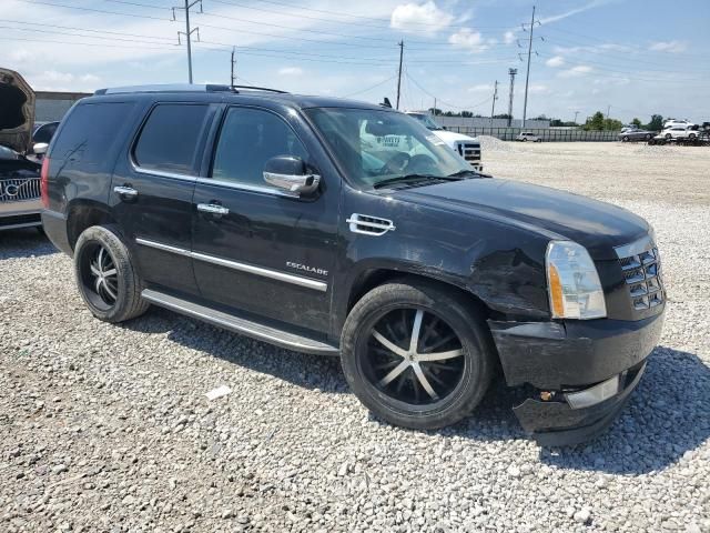 2011 Cadillac Escalade Luxury