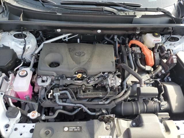 2024 Toyota Rav4 XLE Premium