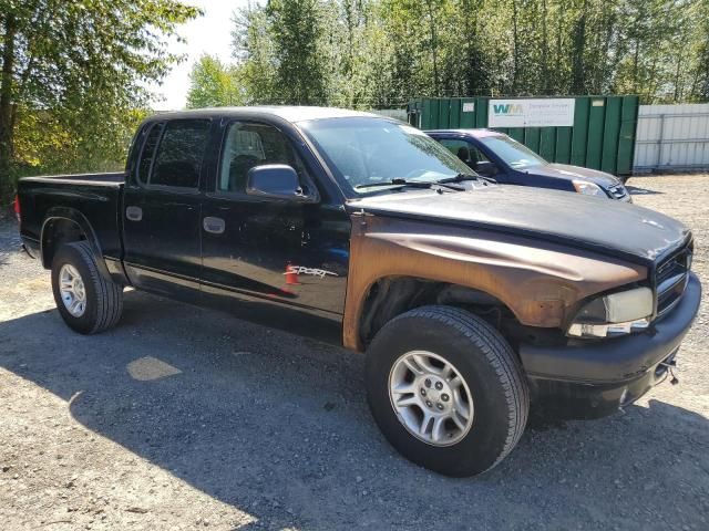 2001 Dodge Dakota Quattro