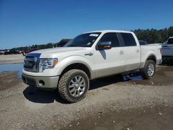 Salvage trucks for sale at Greenwell Springs, LA auction: 2009 Ford F150 Supercrew