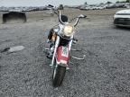 2004 Harley-Davidson Flstci