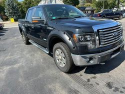 Salvage trucks for sale at North Billerica, MA auction: 2011 Ford F150 Supercrew