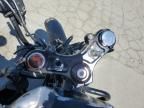 2021 Harley-Davidson XL883 N