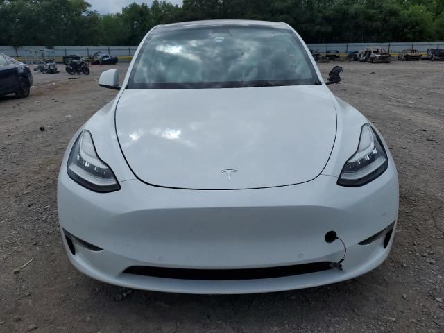 2020 Tesla Model Y