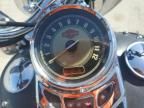 2009 Harley-Davidson Flstc