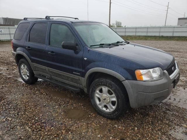 2002 Ford Escape XLT