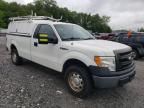 2013 Ford F150