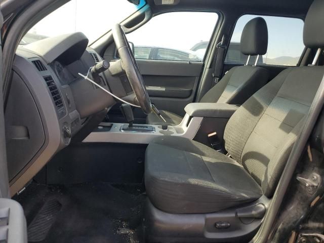 2009 Ford Escape XLT