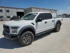 2017 Ford F150 Raptor