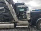 2022 Peterbilt 389