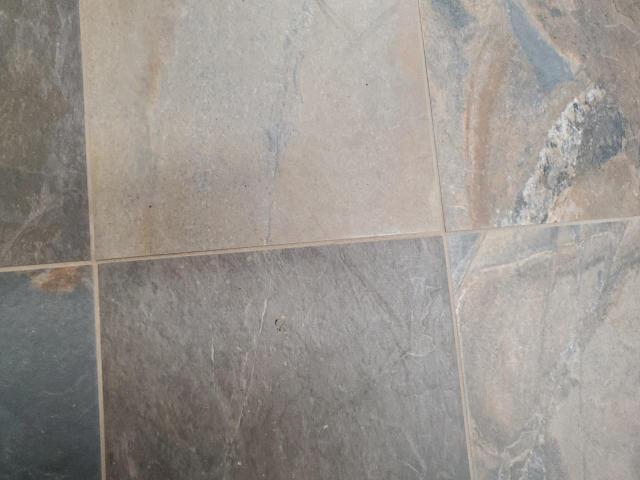 2024 Kenworth Construction T880