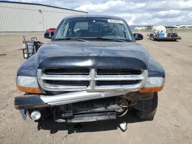 2004 Dodge Dakota Quad SLT
