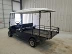 2021 Golf Cart Cart