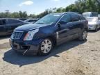 2010 Cadillac SRX Luxury Collection