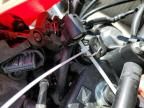 2022 Honda CRF300 LA
