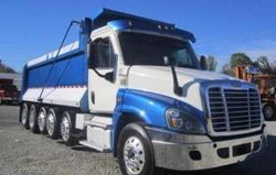 Freightliner Cascadia 125 Vehiculos salvage en venta: 2017 Freightliner Cascadia 125