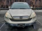 2007 Honda CR-V EXL
