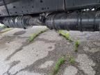 2014 Freightliner M2 106 Medium Duty