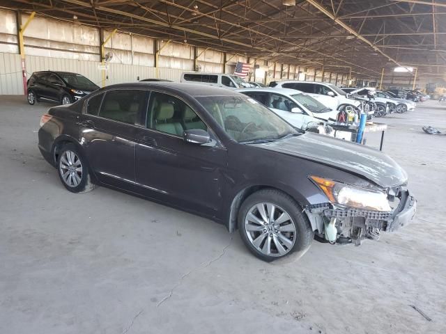 2011 Honda Accord EXL