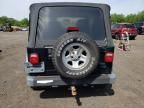 2002 Jeep Wrangler / TJ X