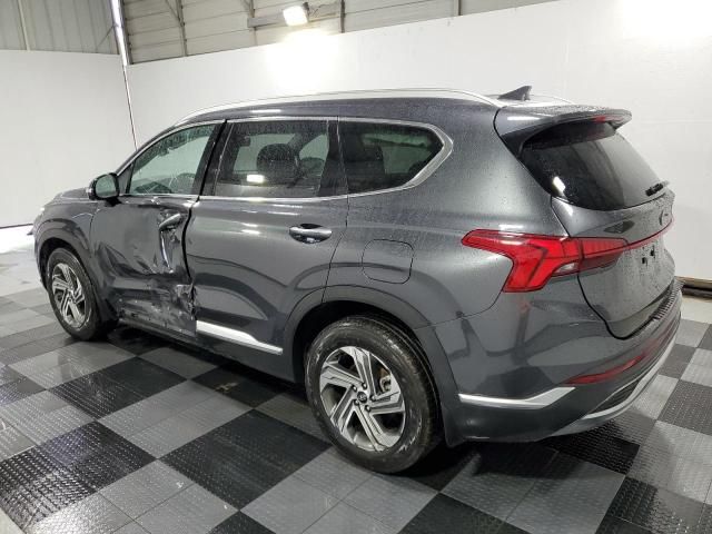 2023 Hyundai Santa FE SEL Premium