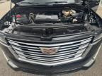 2021 Cadillac Escalade ESV Premium Luxury Platinum
