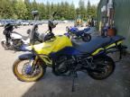 2023 Suzuki DL800DE RC