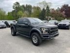 2017 Ford F150 Raptor