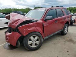 2010 Ford Escape XLT for sale in Louisville, KY