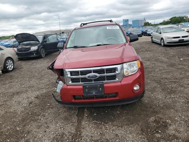 2010 Ford Escape XLT
