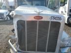 2020 Peterbilt 389 Truck Cab AND Chassis